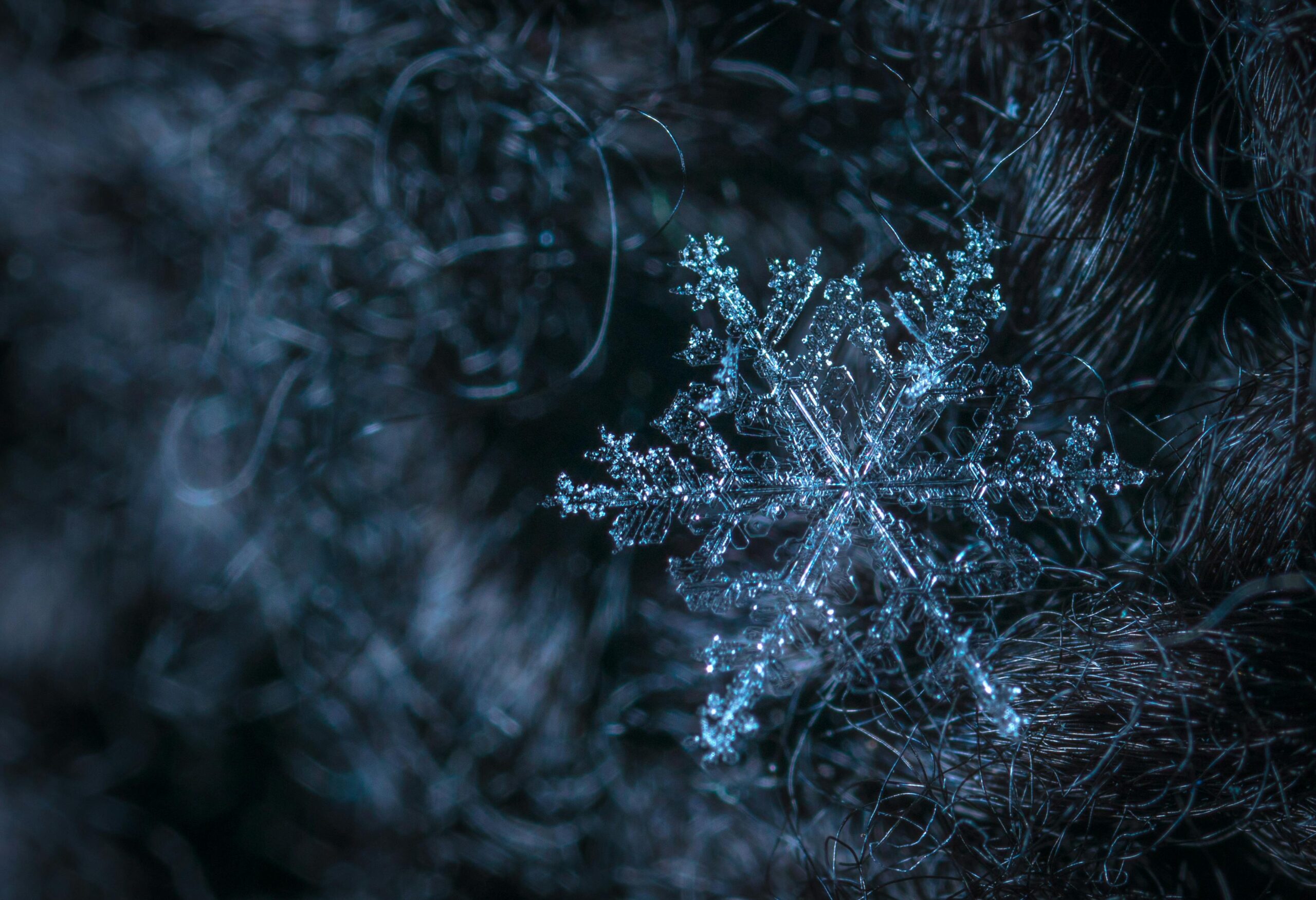 Detailed macro photo of a single snowflake resting on a textured dark surface, highlighting its crystalline structure.